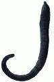 Mouse/Cat Long Tail